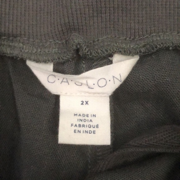 Caslon Linen Joggers Size 2X - Picture 3 of 8